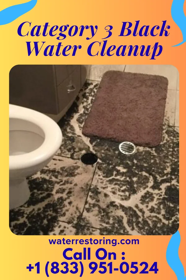 Category 3 Black Water Cleanup in Greenville, MO