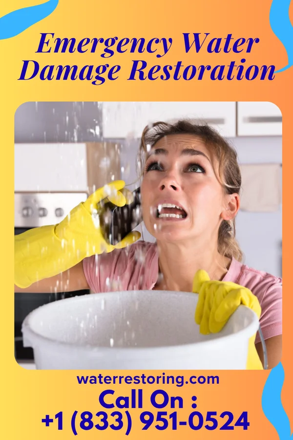 Emergency Water Damage Restoration in Greenville, MO