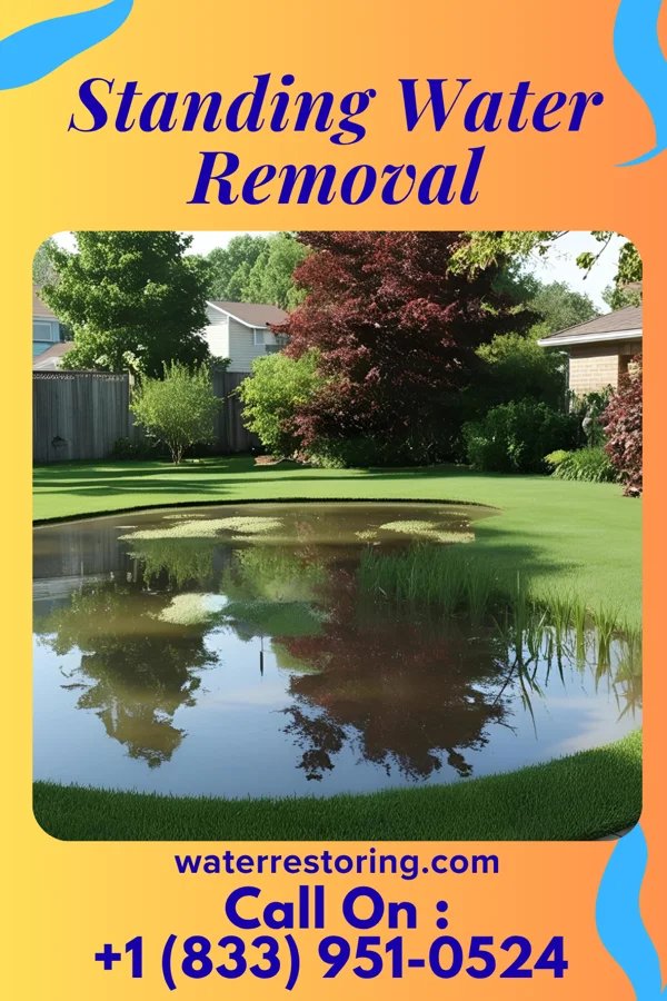 Standing Water Removal in Greenville, MO